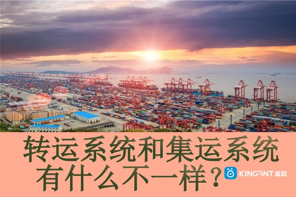 轉(zhuǎn)運(yùn)系統(tǒng)和集運(yùn)系統(tǒng)有什么不一樣？